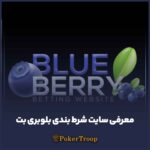 معرفی سایت شرط بندی بلوبری بت  Blueberry bet